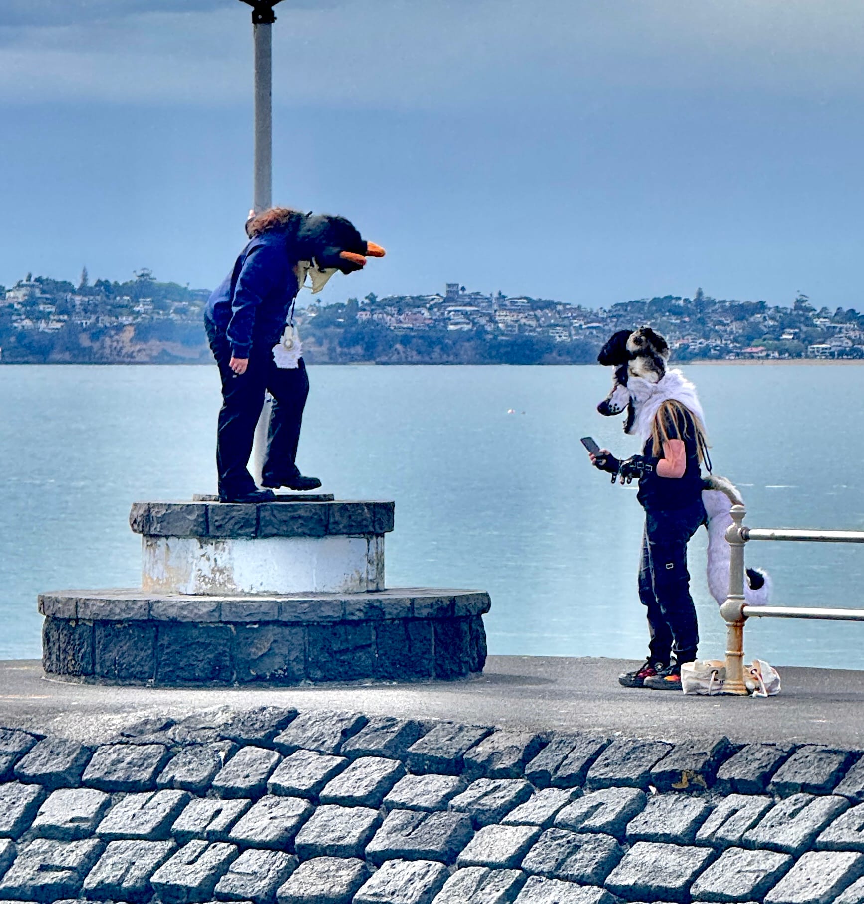 Wistful longing in Comic Sans