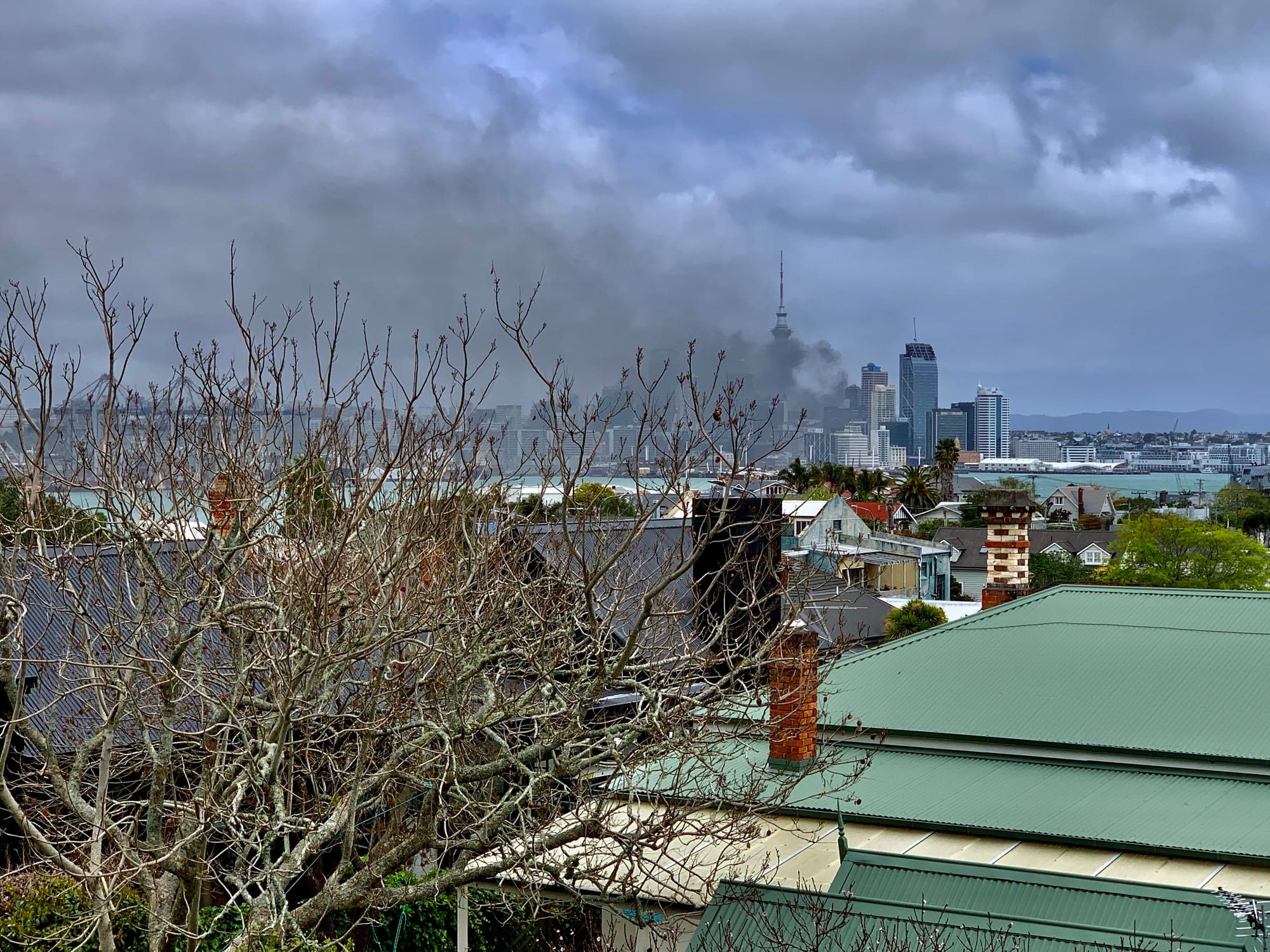 And now the businesses who just wanted to go back to normal are finding this option does not exist