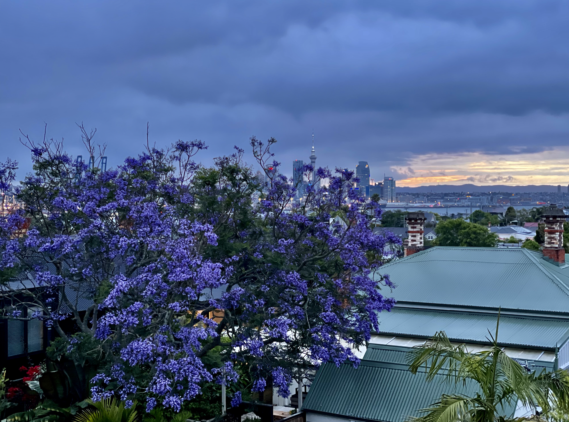 The grimmer things get, the more I enjoy cooking