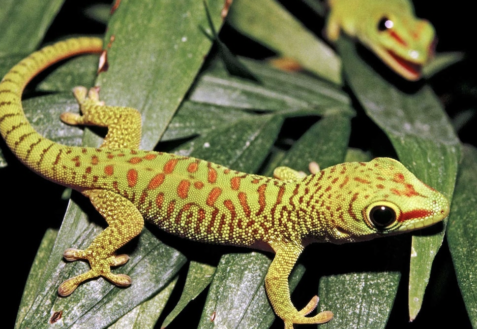 90% of everybody would be even better