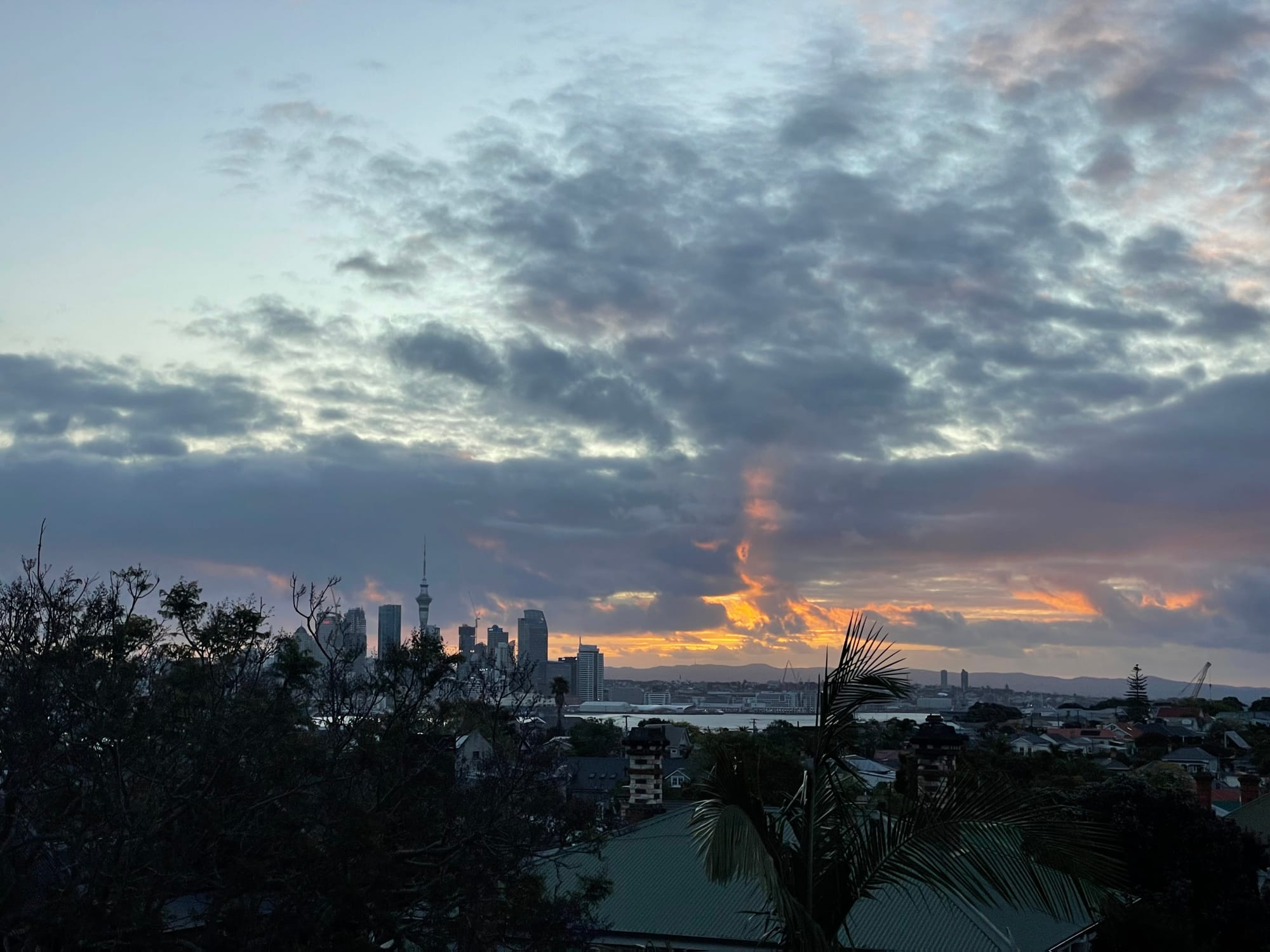 Under New Management