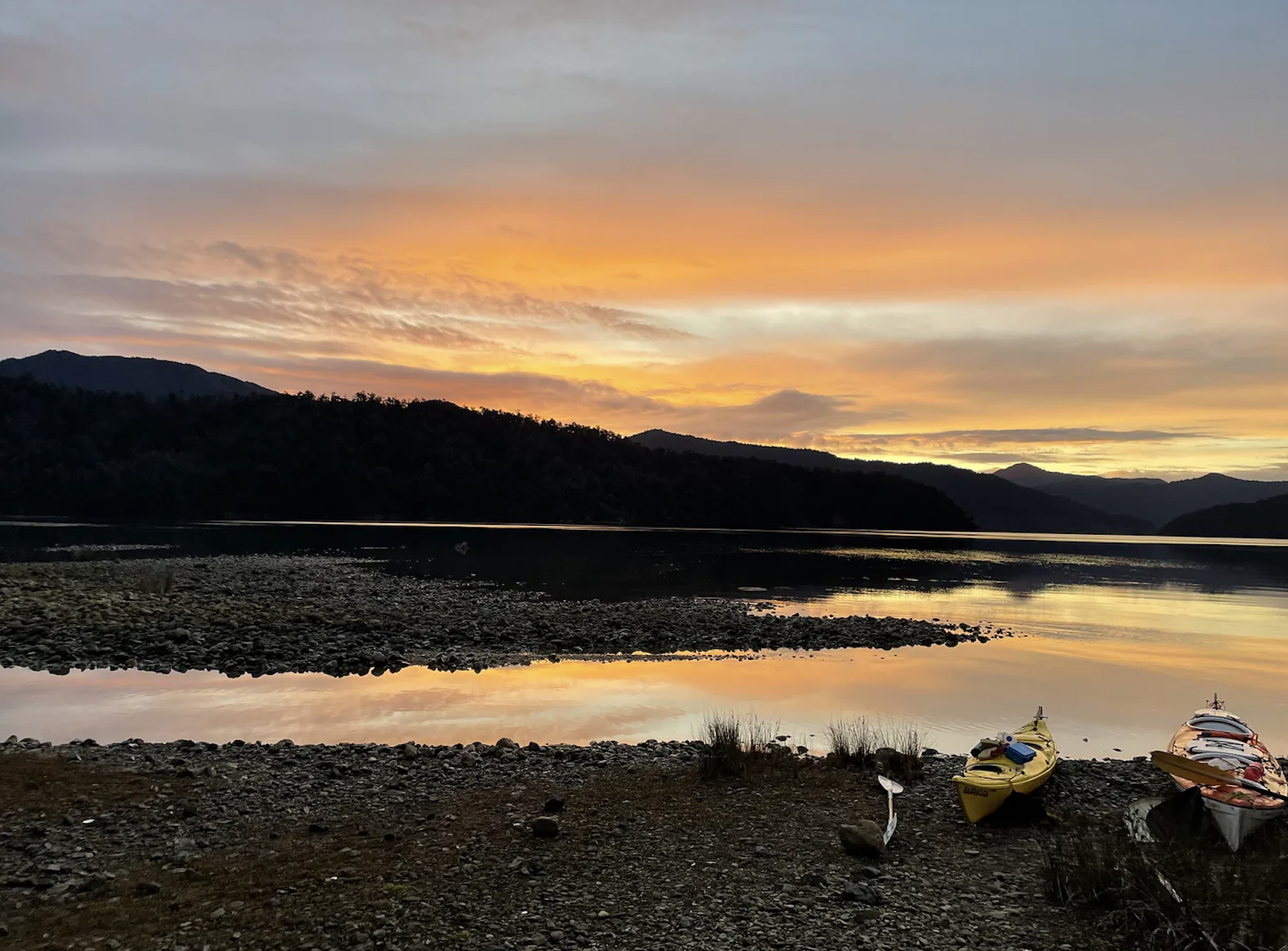 A bunch of phoneys and other propaganda