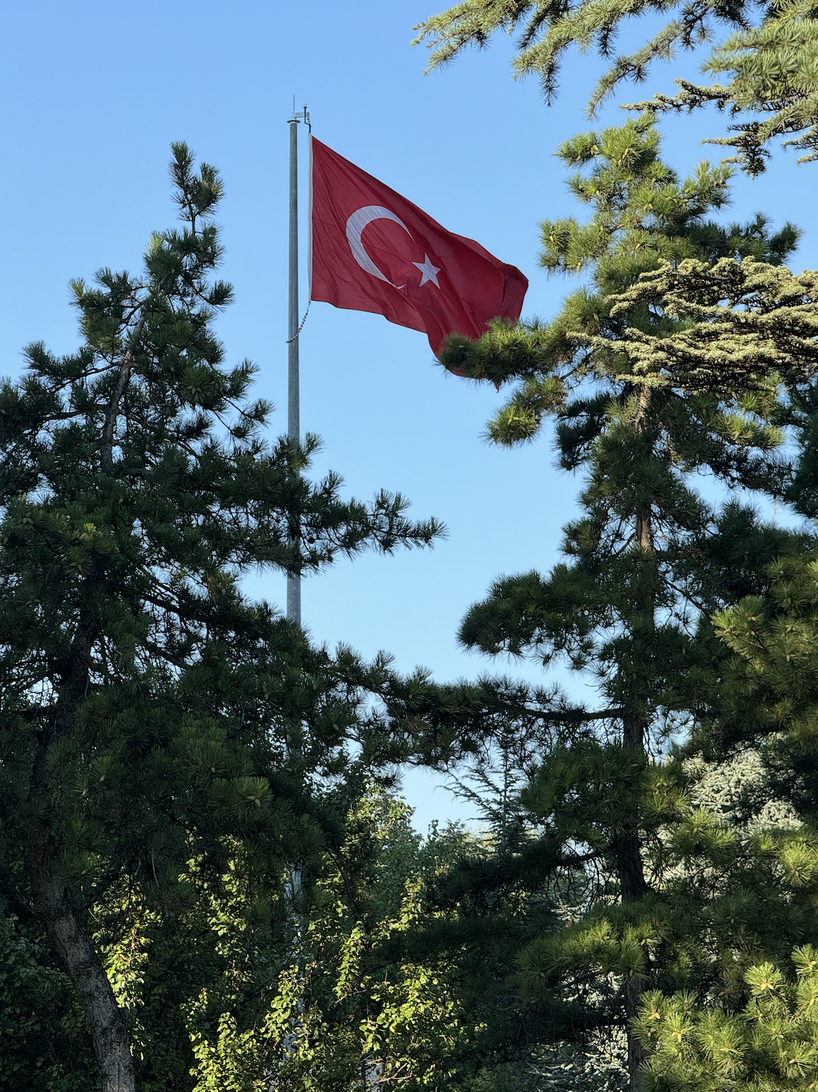 What he was thinking