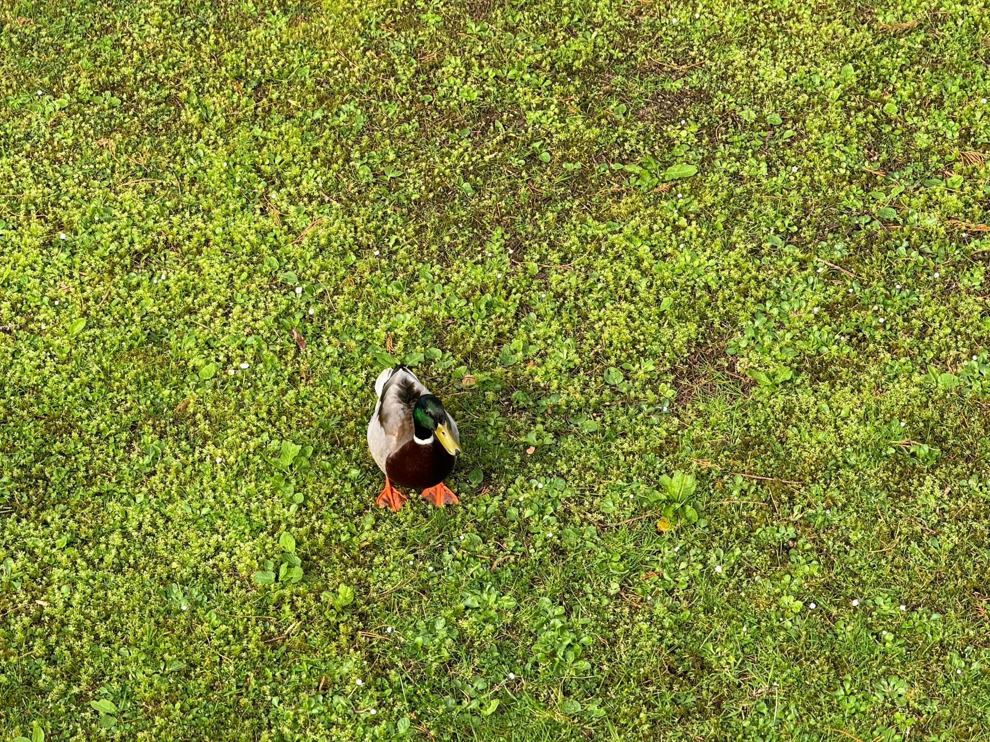 Talking Reo with the PM