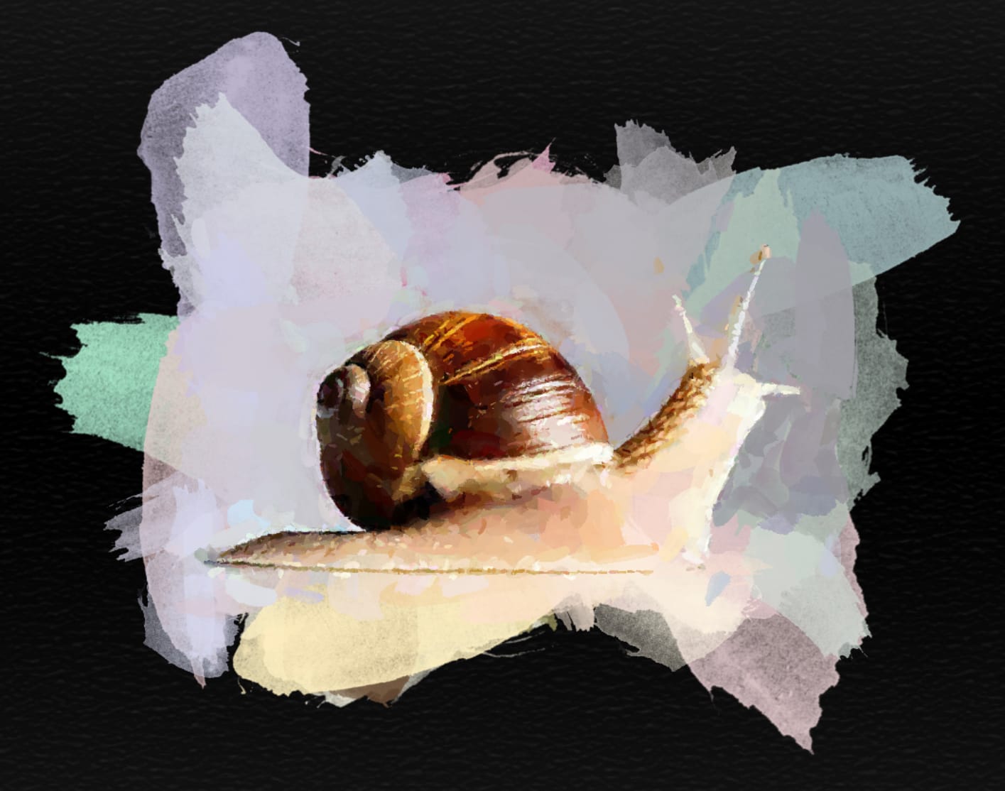 School holidays at Kia Kaha primary school