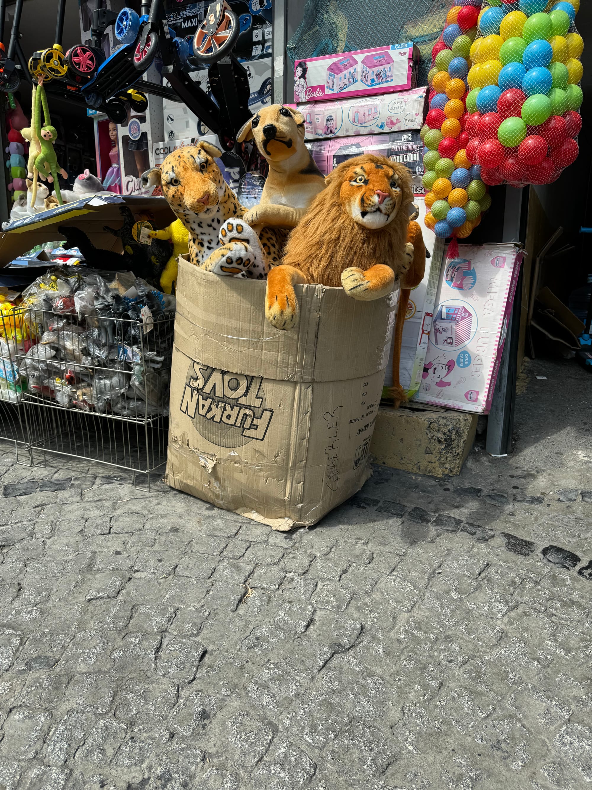 Collected letters from a warm place