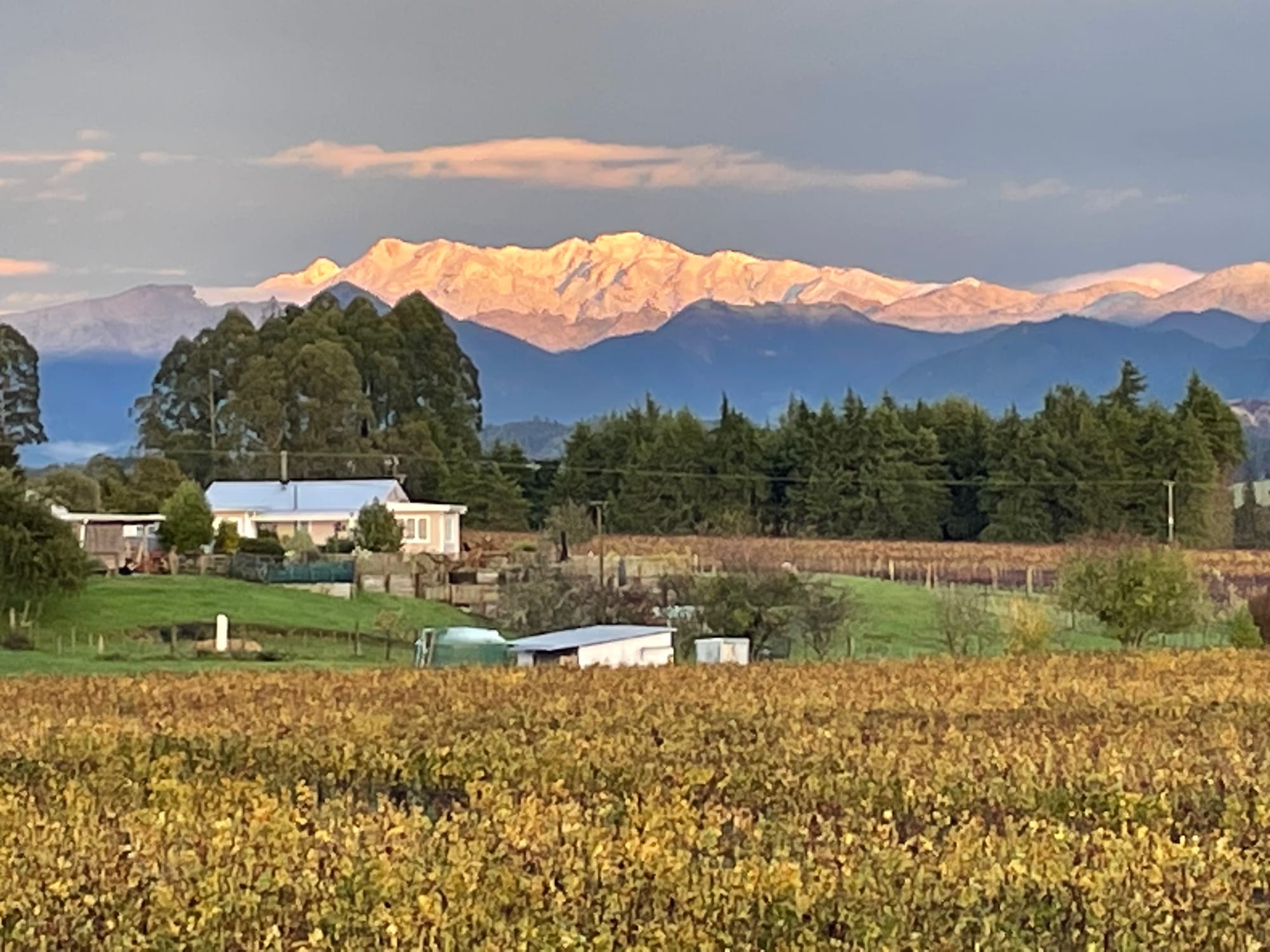 Cometh the hour, cometh the lawn guy 