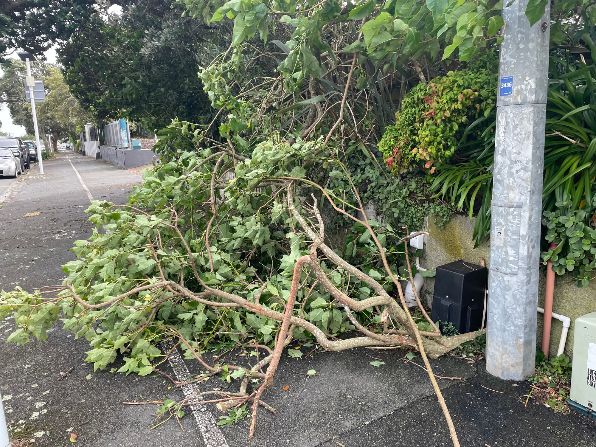 Be part of the solution, not Kate