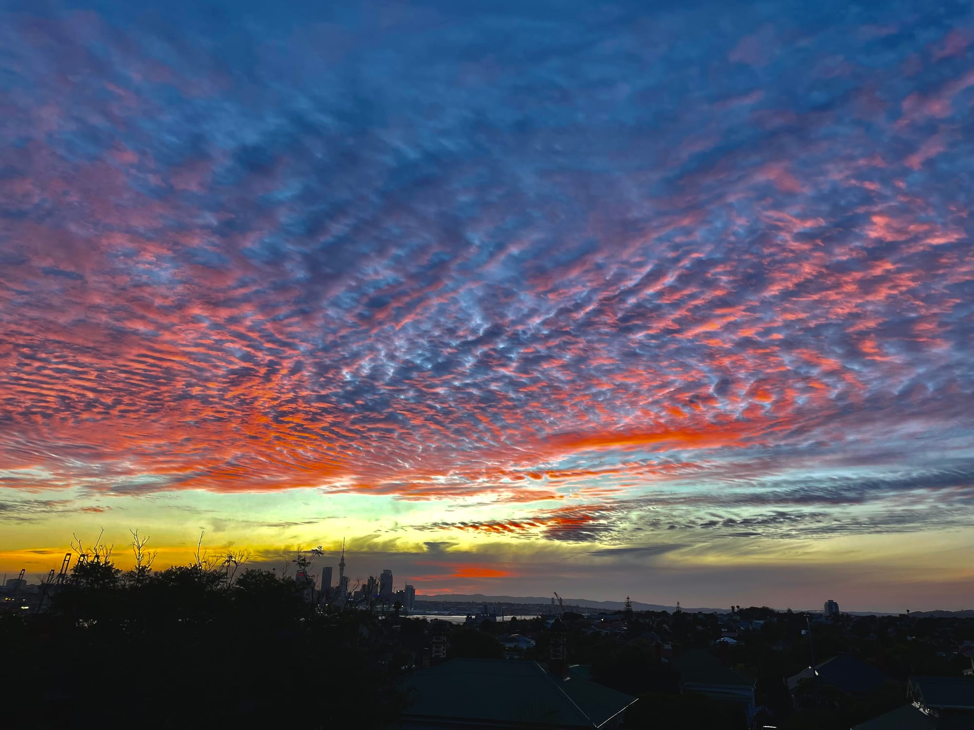 A highly infectious virus let loose by some stupid aerosol