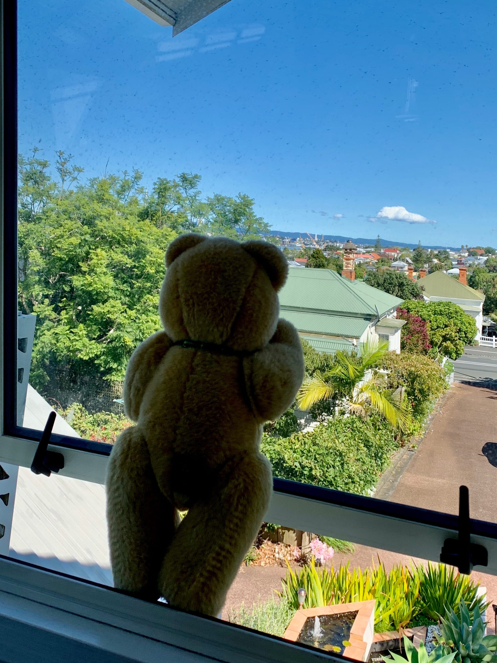 We put a bear in the window and waited for the Great Depression