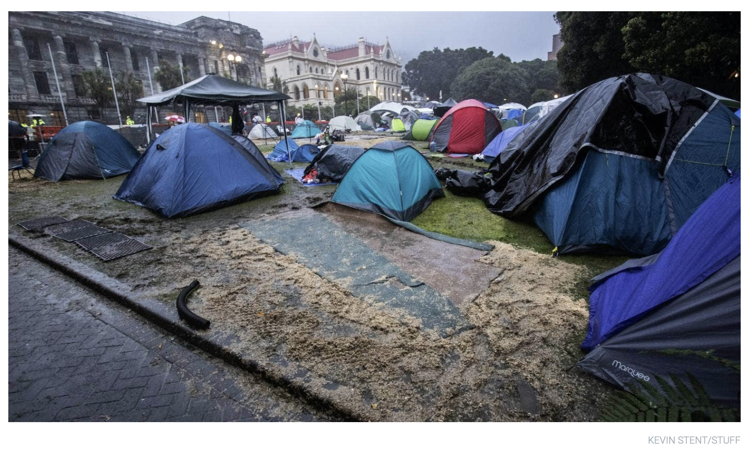 How is it faring, the People’s Lawn?