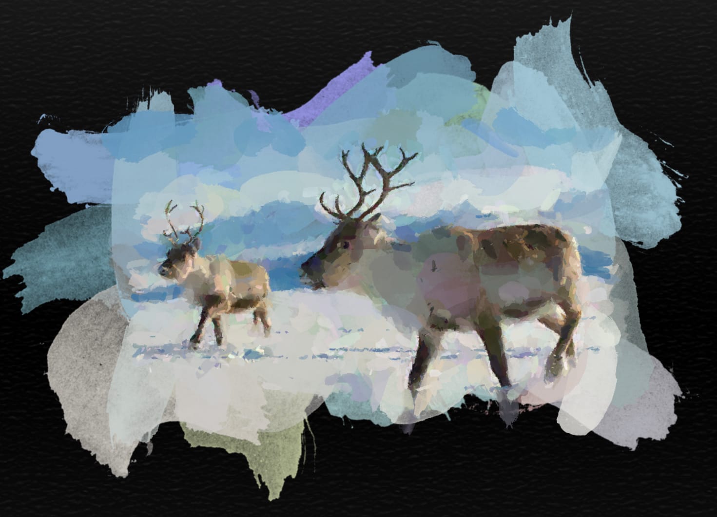 Finnish morning at Kia Kaha Primary School