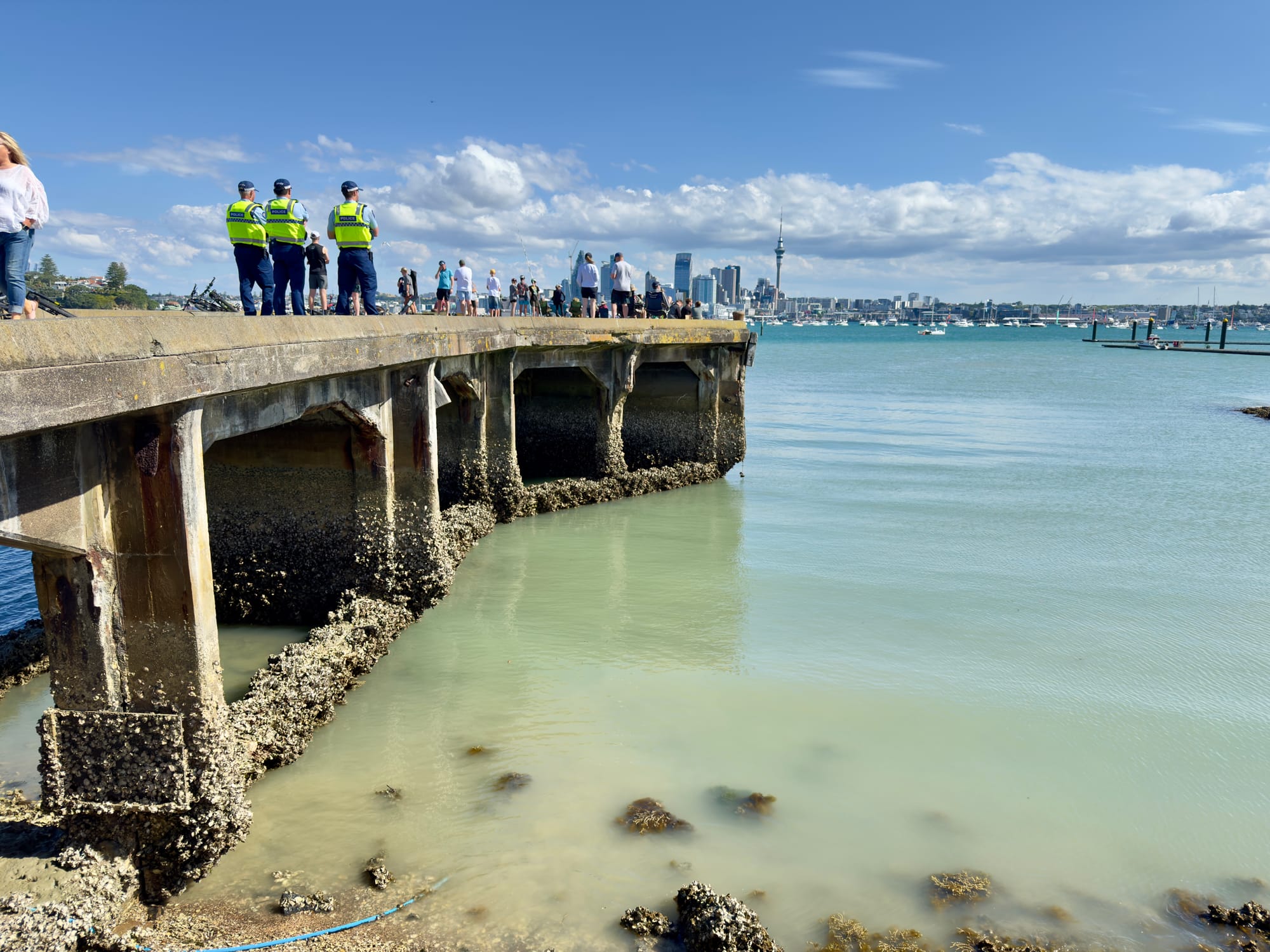 Show us the money, Einsteins