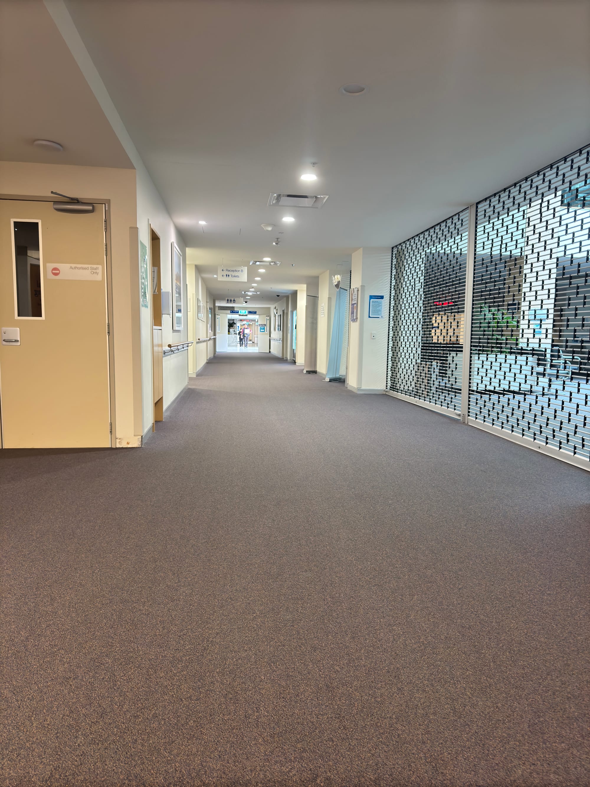 What I saw, sort of, at the emergency eye clinic