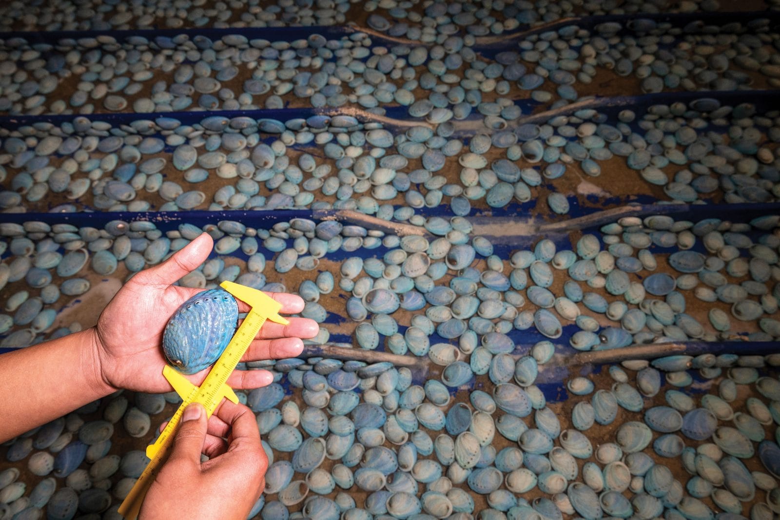 Back at the keyboard, happy new year 