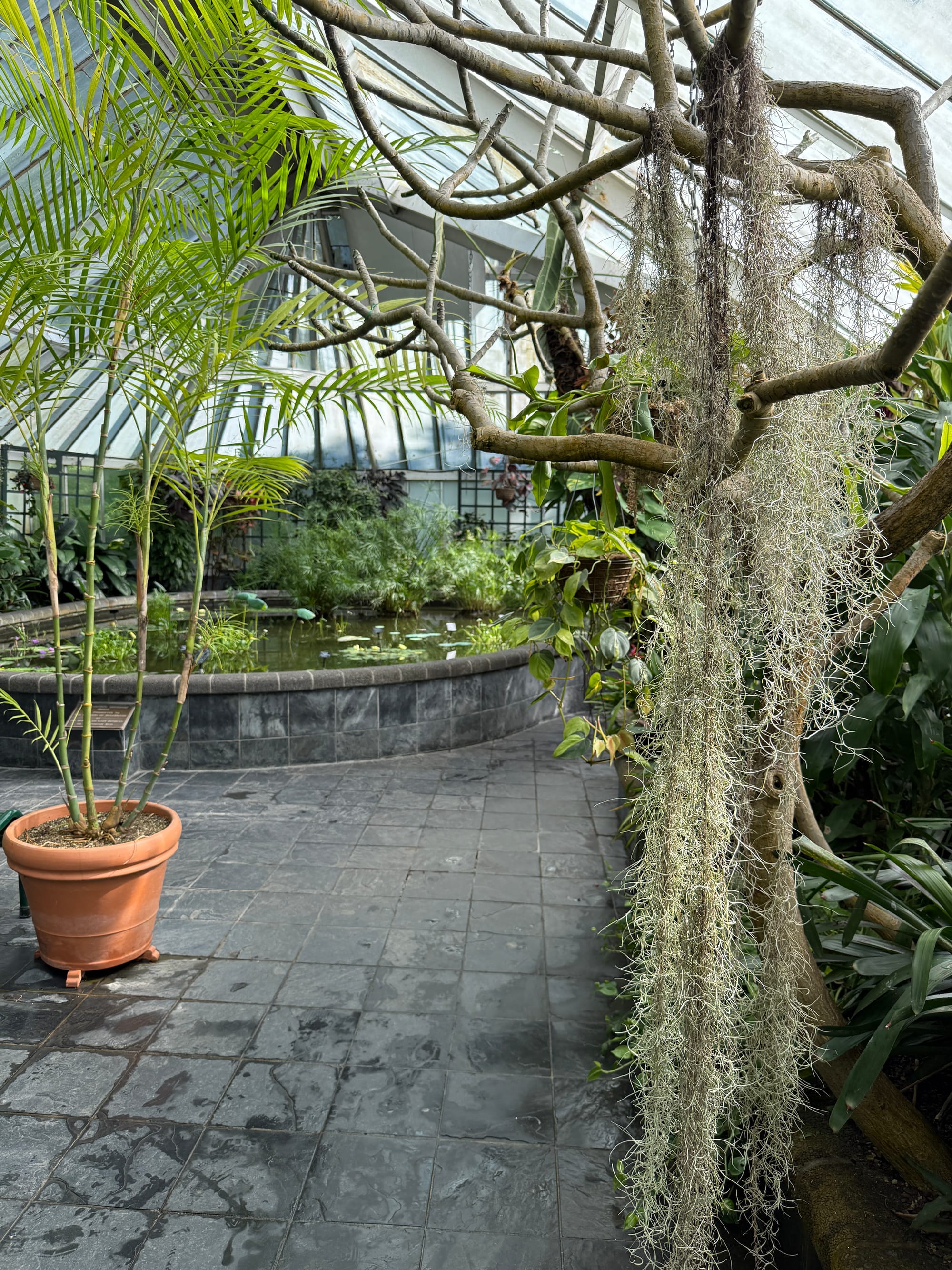 If that’s not an inspirational icon of hope, what is?