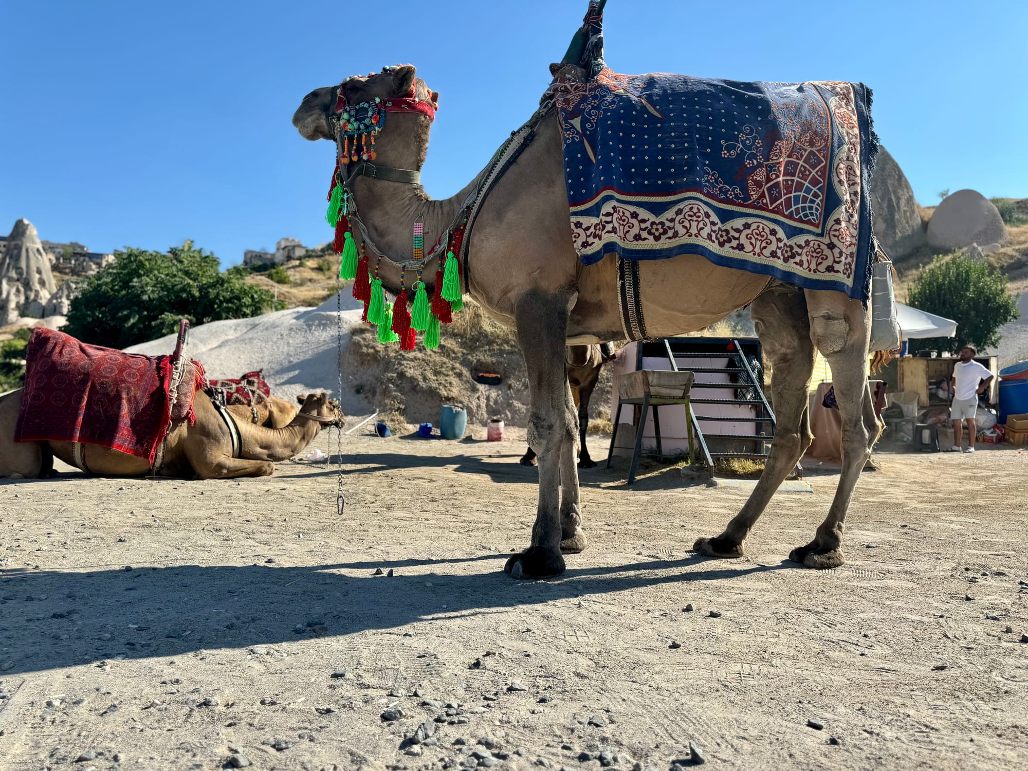 Two wrongs don't make a right angle