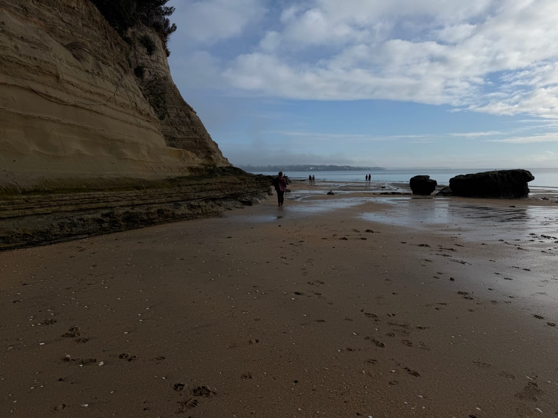 Gratitudes you may feel