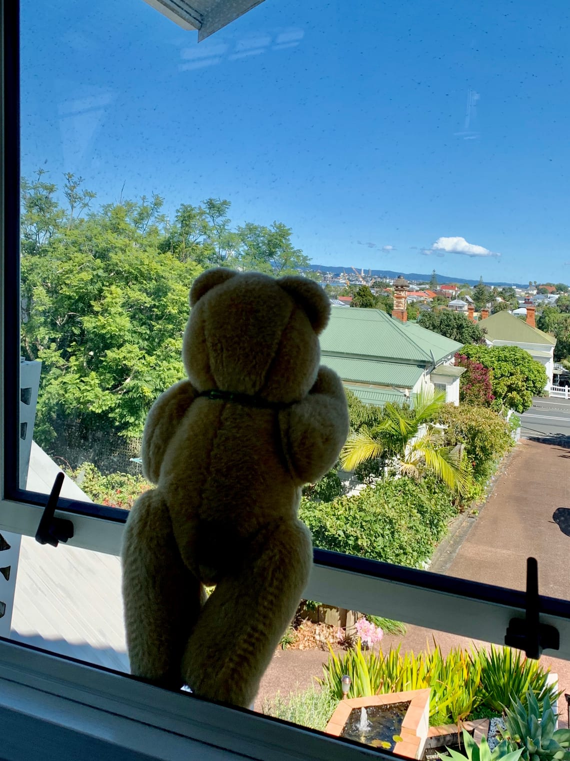 What if there'd been no vaccine?