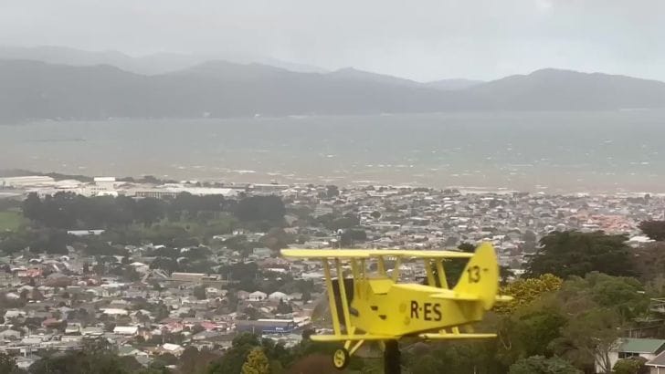 Talk About Cold, Wayne