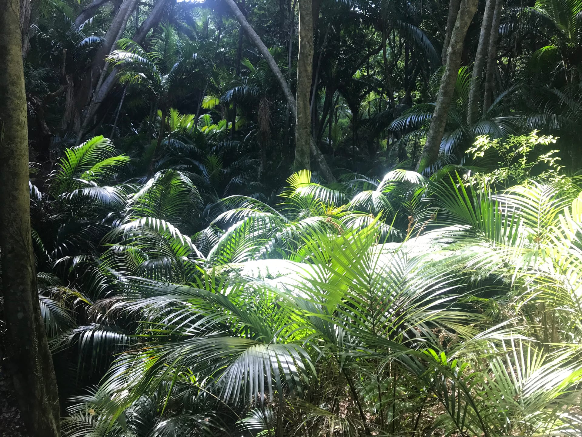 As big as our problems are, the possibilities are bigger