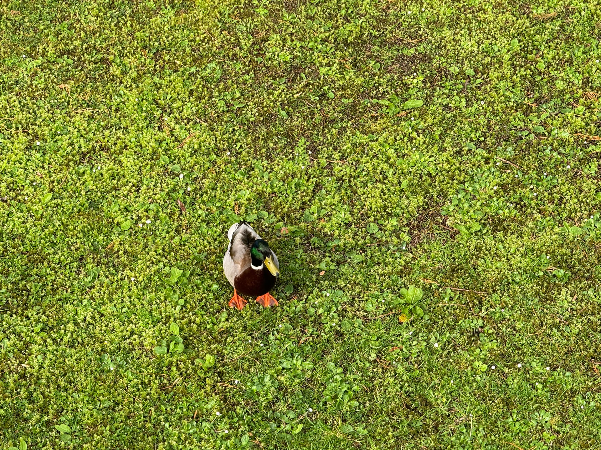 Talking Reo with the PM