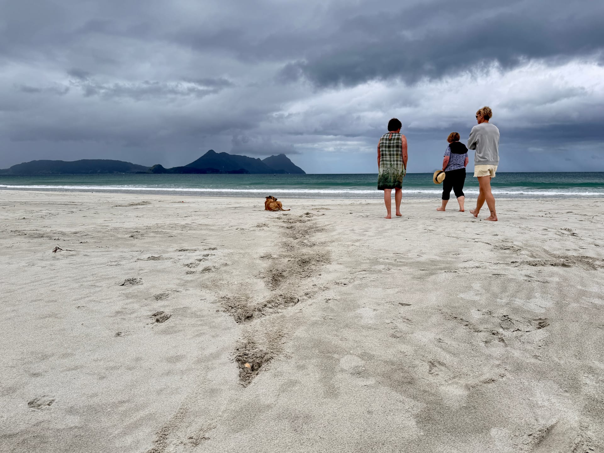 Get in the sea, old mate