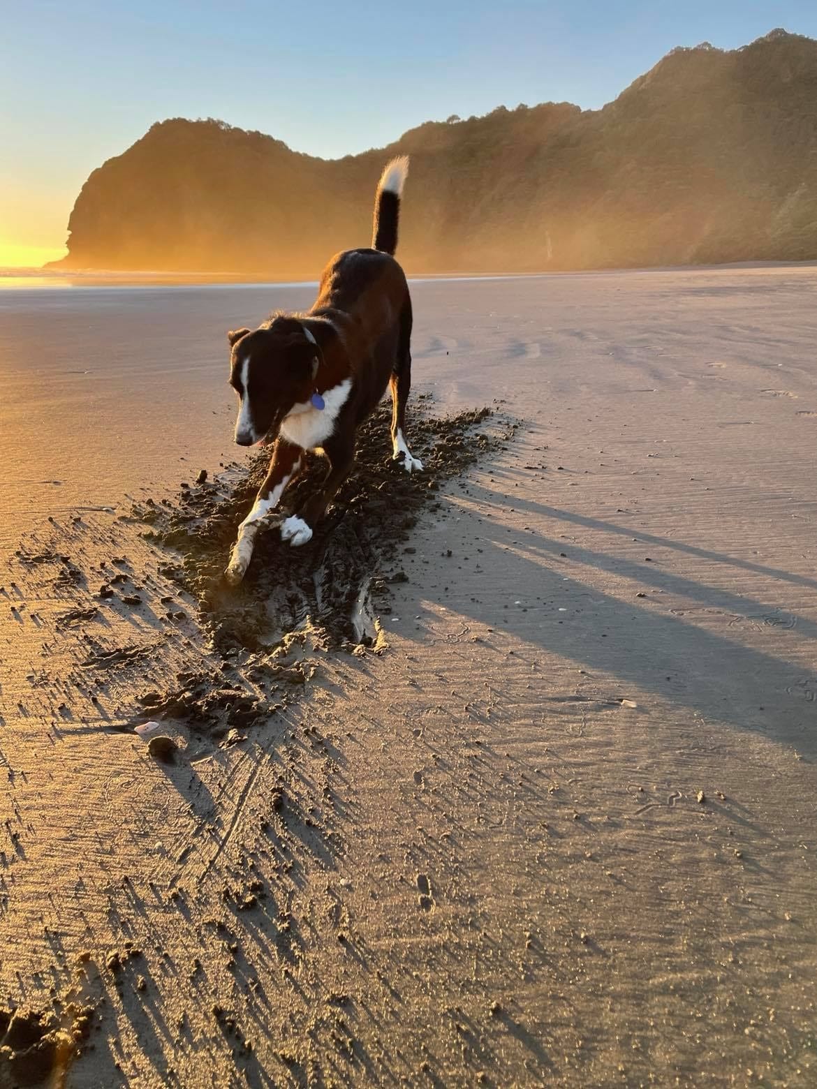 This morning on Newshub Nation, joining us by seance, Don Brash and Winston Peters