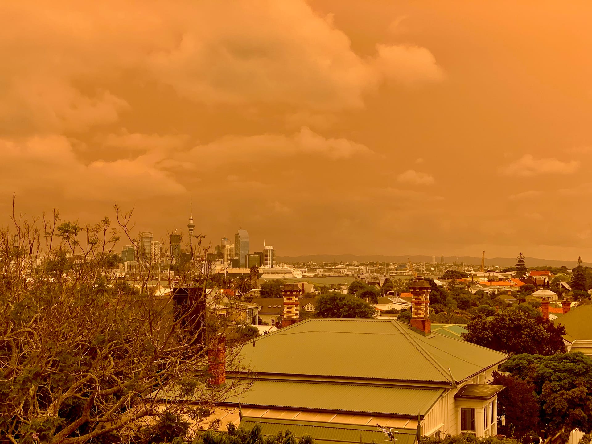 I'm absolutely done with all this, I want to help turn it around