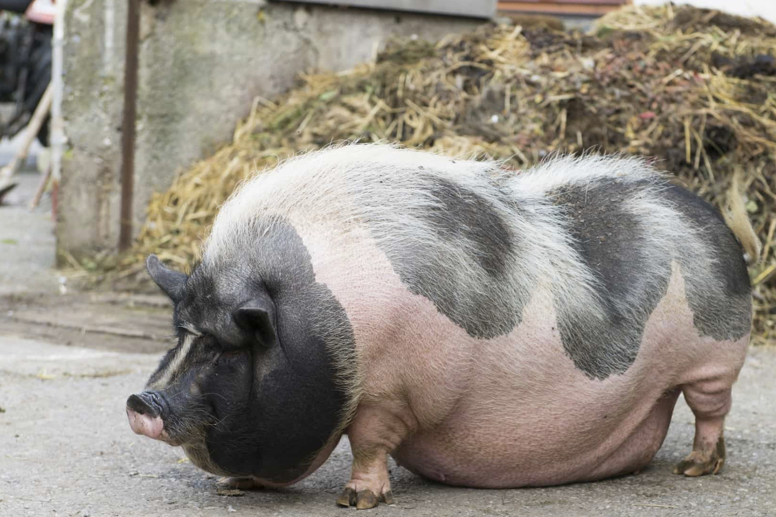 Let me through I'm here to make money