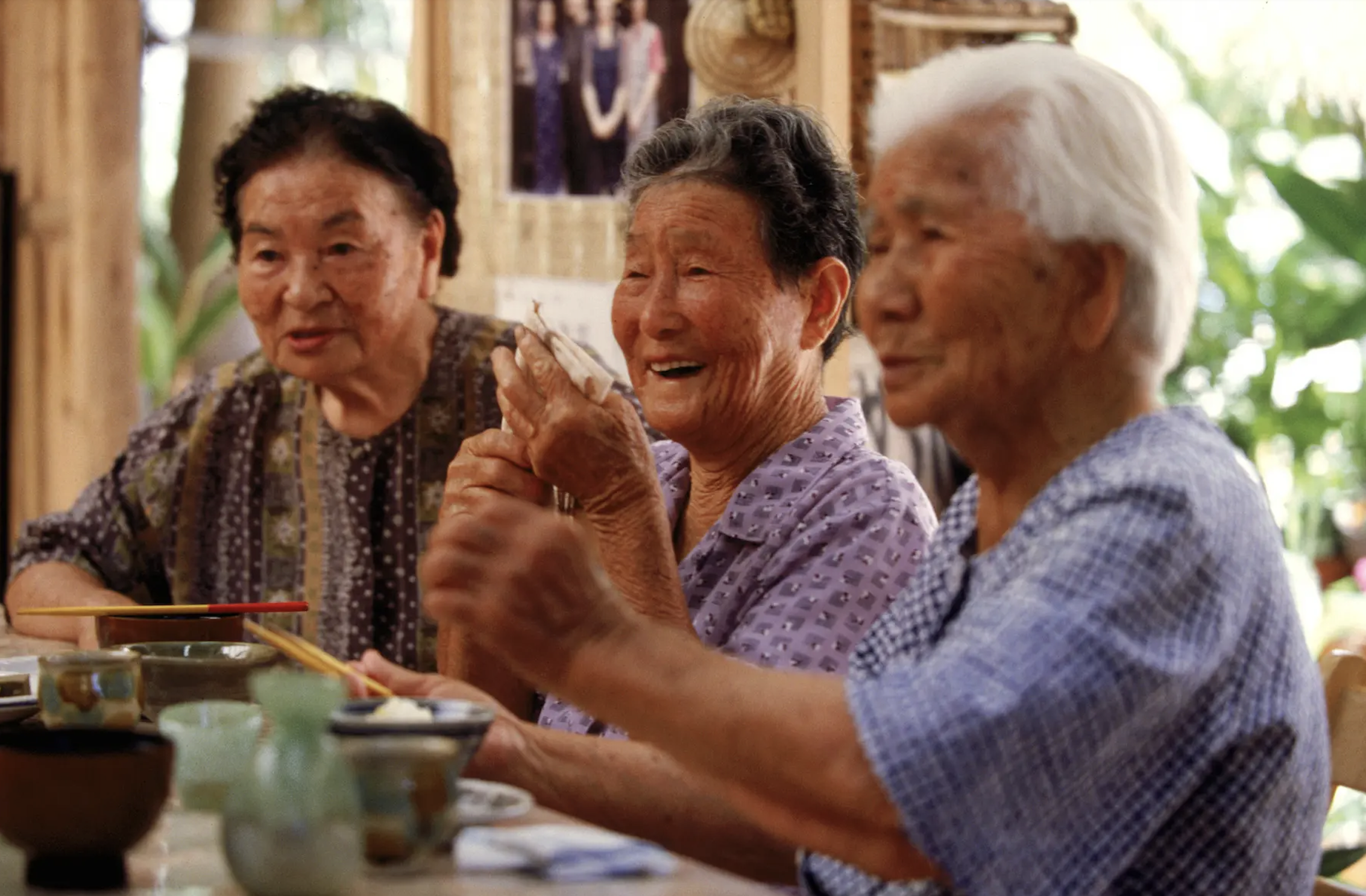 Do you wish to continue?