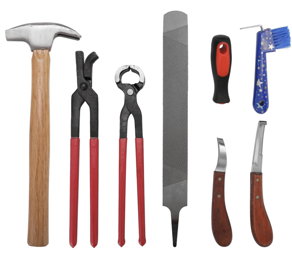 The assassins are in the bushes