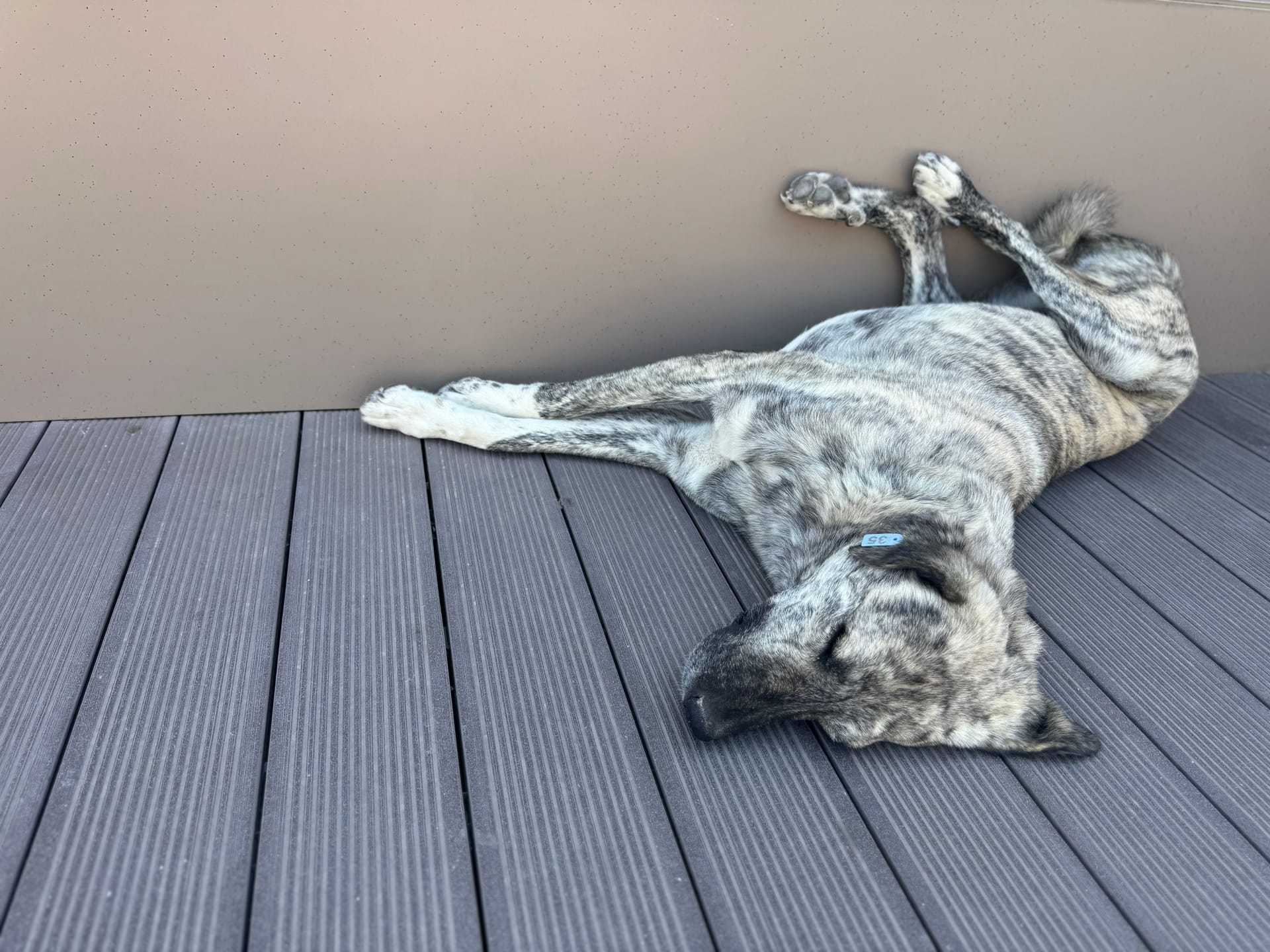 And your mother dresses you funny