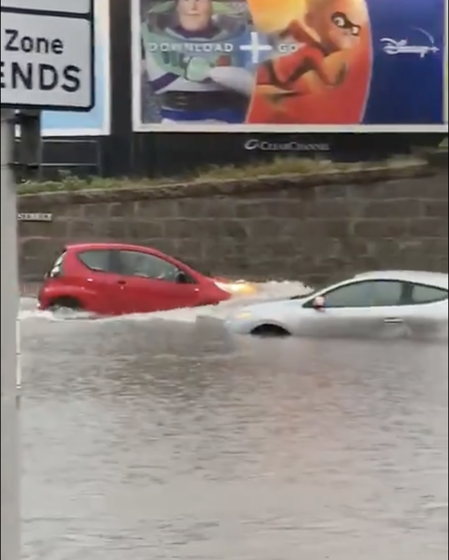 Absolutely not amazed