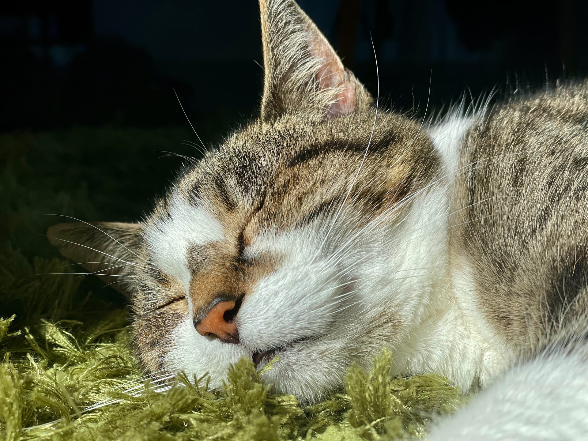 This pill is a good thing