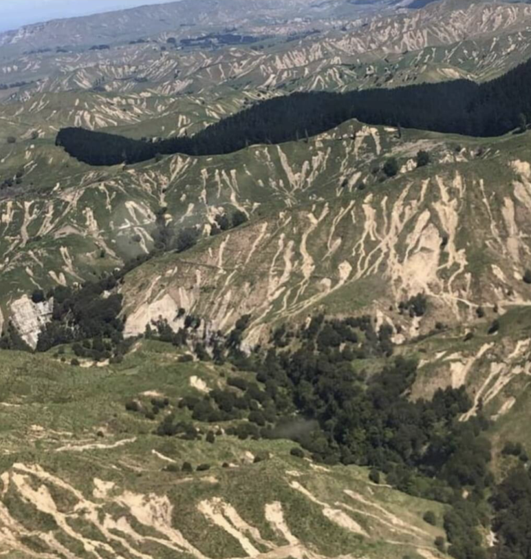 The tension between prudence and making a dollar