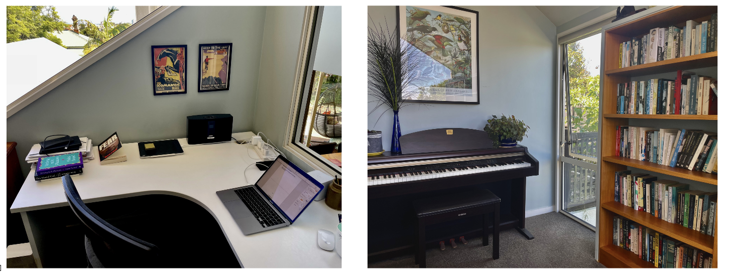 Don't Shoot Me I'm Only The Piano Player