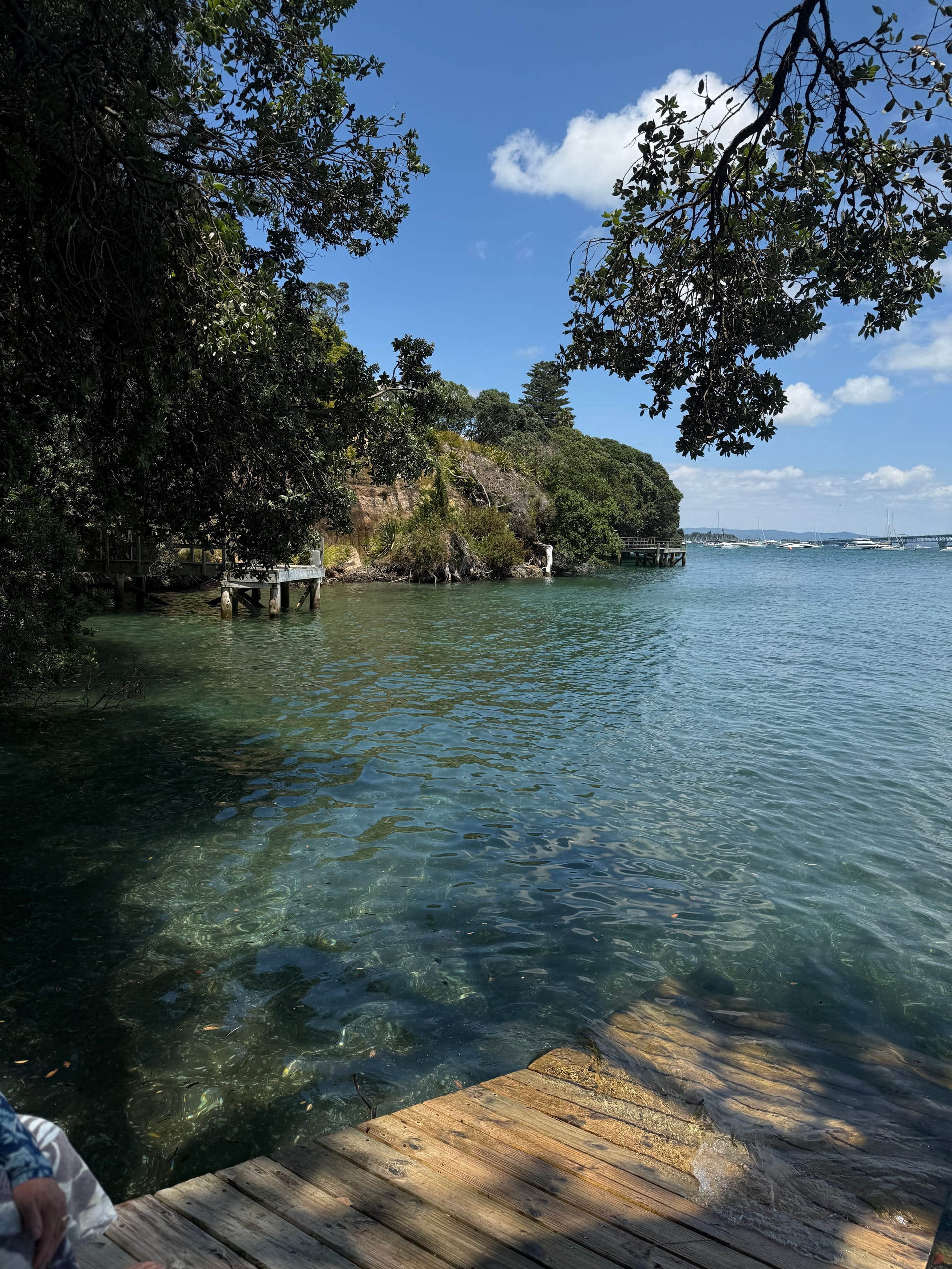 Exploring David Seymour's maths