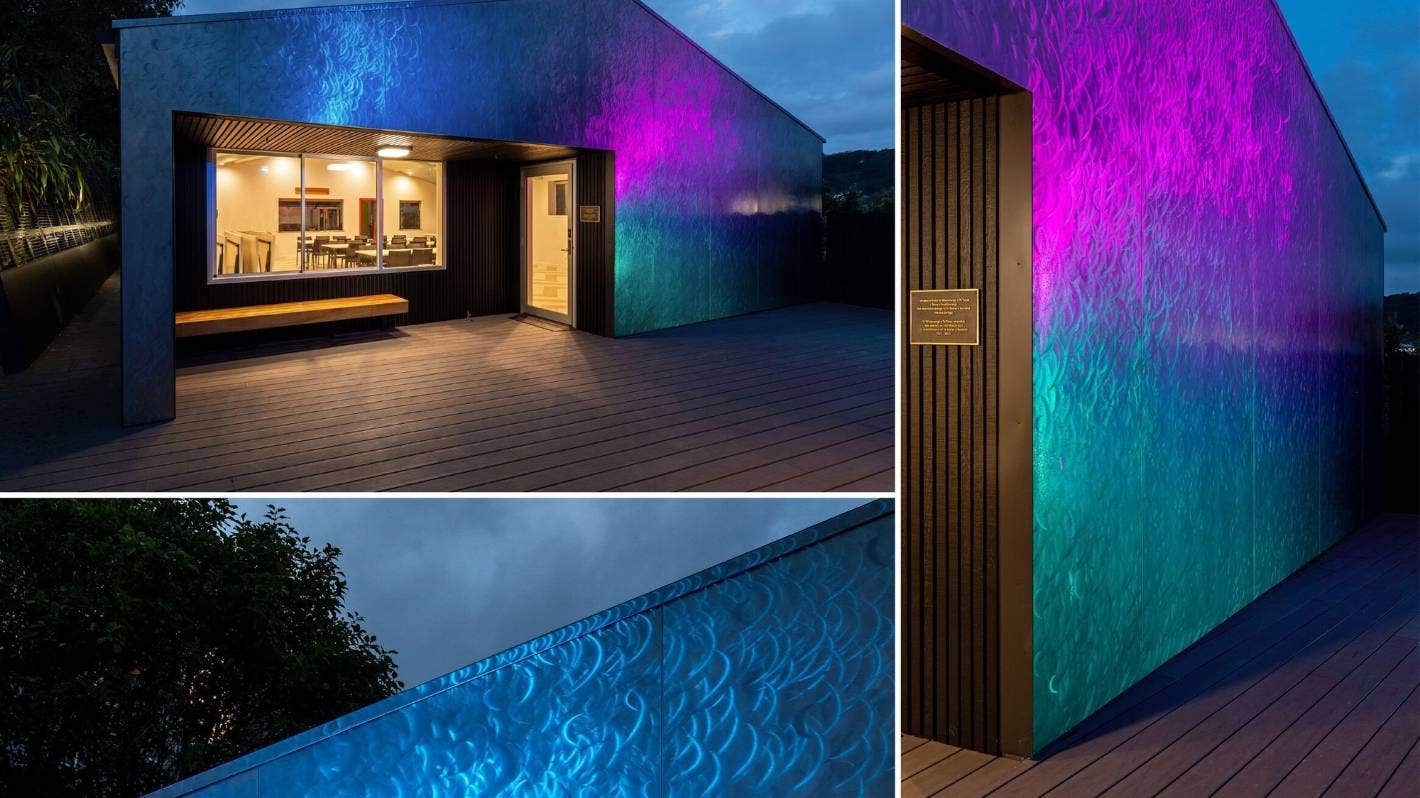 Insert name of progressive Māori woman here